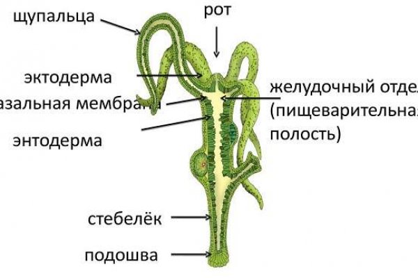 Kra19.gl