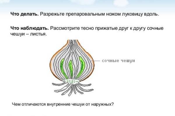 Kraken сайт даркнет