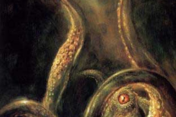 Kraken onion link